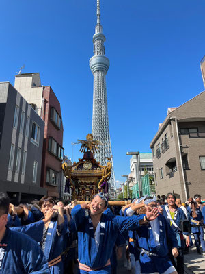 〈U23_055〉ジュヤマさん：牛嶋神社大祭<br>撮影日：2023年9月17日<br>場所：本所<br>スカイツリー、神輿、祭り男　三点セット