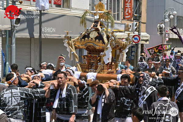 〈八重垣神社祇園祭〉十町神輿連合渡御：福富町区 @2023.08.05