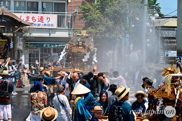 〈八重垣神社祇園祭〉十町神輿連合渡御：仲町区 @2024.08.05