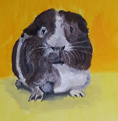 Meerschweinchen IV, Acryl auf Leinwandkarton