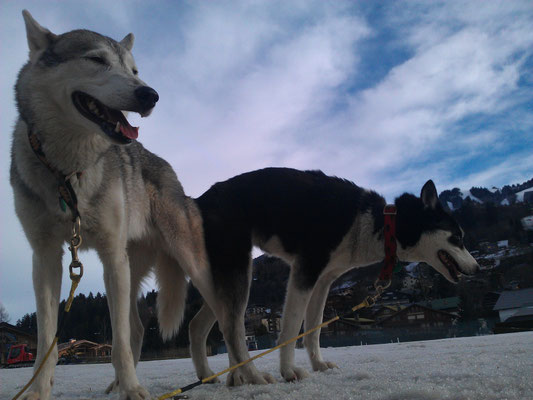 eine hängende Sache