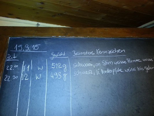 jede Geburt wird notiert mit Zeit, Geschlecht, Gewicht und Merkmale im Aussehen