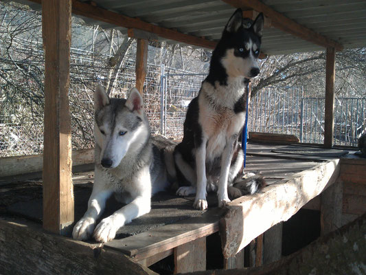 Soviel Aufmerksamkeit vom Chef
