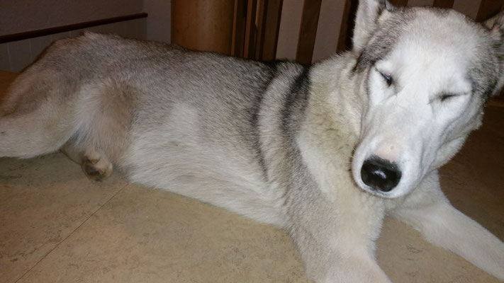 Erin verhält sich seeeehr schwanger.