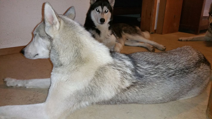 Tag 40, im Hintergrund Papa Elaskan.