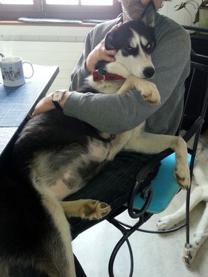 Oh, mein Bauch....