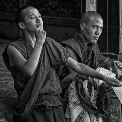 tibet, joe recam
