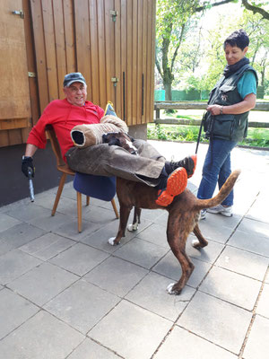 Der Figurant ist müde. Der Hund aber noch nicht 