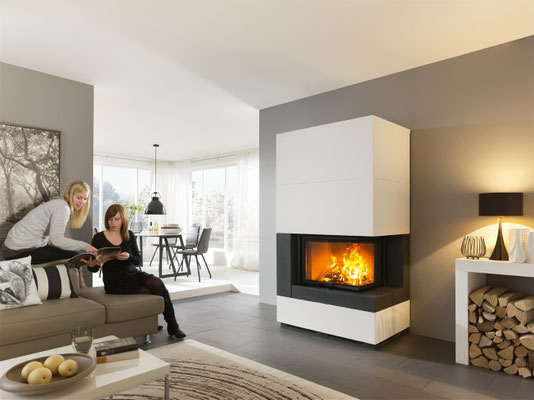 Kamin Camina S10 uvP ab € 8140,00 zzgl. Montage/Zubehör