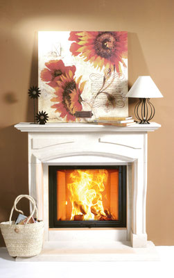 Kamin Camina N31 uvP ab € 15042,00 zzgl. Montage/Zubehör