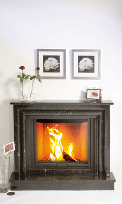 Kamin Camina N26 uvP ab € 10996,00 zzgl. Montage/Zubehör