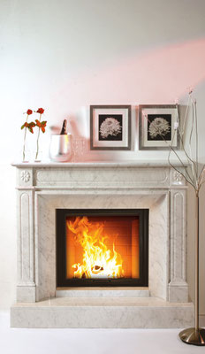 Kamin Camina N39 uvP ab € 14209,00 zzgl. Montage/Zubehör