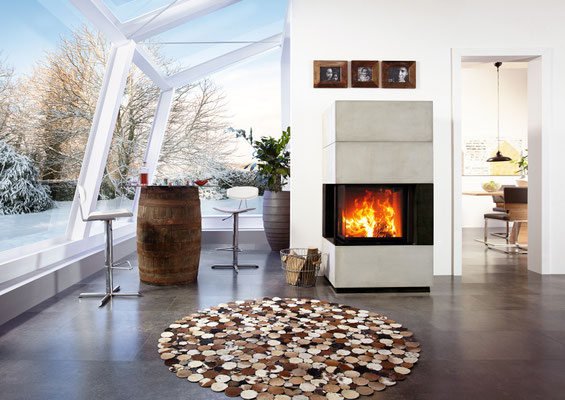 Kamin Camina S17 uvP ab € 6890,00 zzgl. Montage/Zubehör