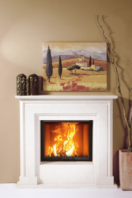 Kamin Camina N30 uvP ab € 10627,00 zzgl. Montage/Zubehör