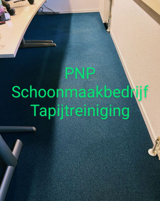 tapijt reiigen