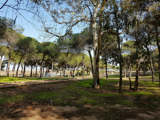 - Natur pur | Klettergarten und Schwimmbad mit Restaurant