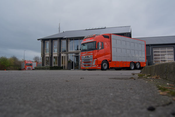 Varkenshandel Dijk B.V. in Brucht