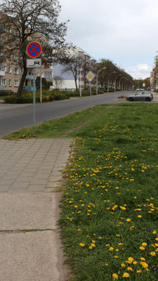 Fehlende Gehwege