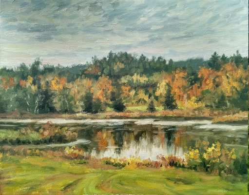 Herbst am See bei Markt Wald  | Öl auf Leinwand | 40 x 50 cm | 480€