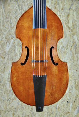 small Colichon, front of body - violworks