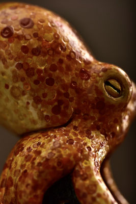 octopus, detail - violworks