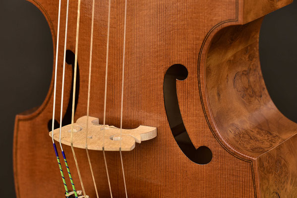Colichon dessus de viole, belly detail - violworks