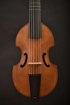 Colichon dessus de viole, front view - violworks