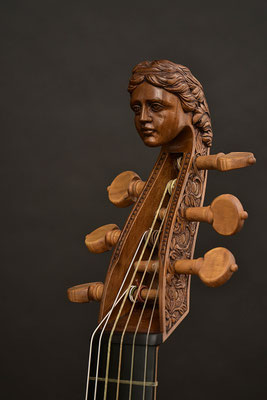 Colichon dessus de viole, female head 3/4 view - violworks