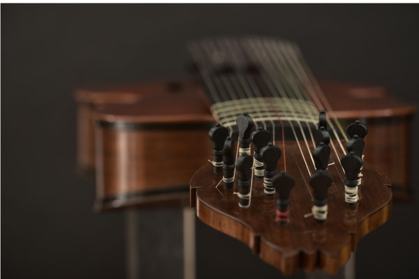 just another view of this lirone - violworks 