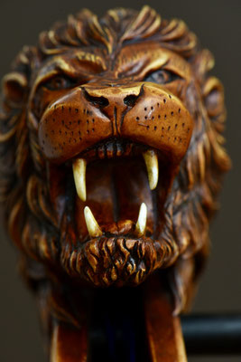 leo for a 5-string cello front detail - violworks