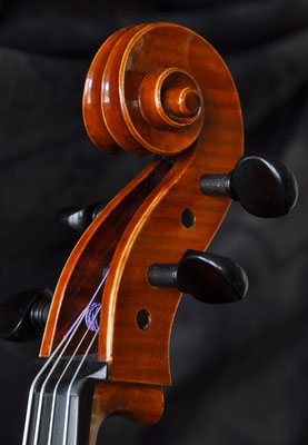 Andrea Guaneri viola, scroll - violworks
