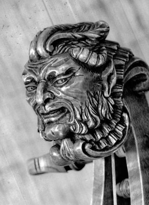 Faun after a head of a  5 string cello - violworks