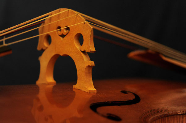 Violone bridge - violworks