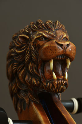 leo for a 5-string cello, 3/4 front view - violworks