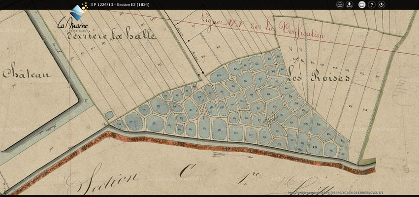 Archives départementales de la Marne - cadastre de 1834 - Section E2 - Les Roises : des fossés en eau où l'on faisait rouir le chanvre sont visibles