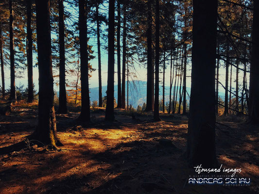 Feldberg/HE