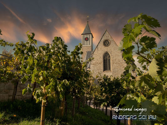 Weinwanderung Mainz