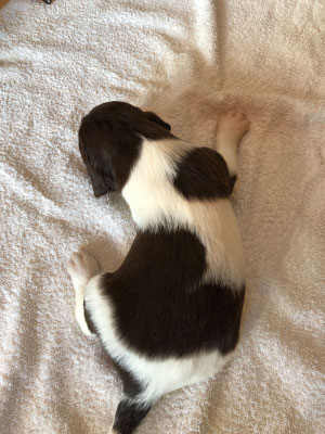 Milow