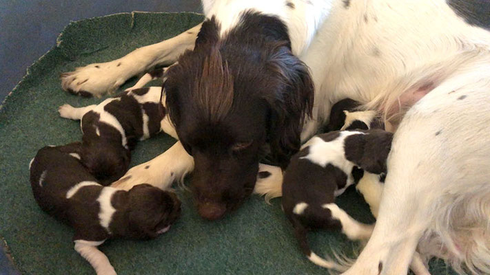 Kira, du machst das toll.