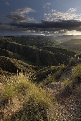 Parque Natural Sierra de Baza, campos de esparto