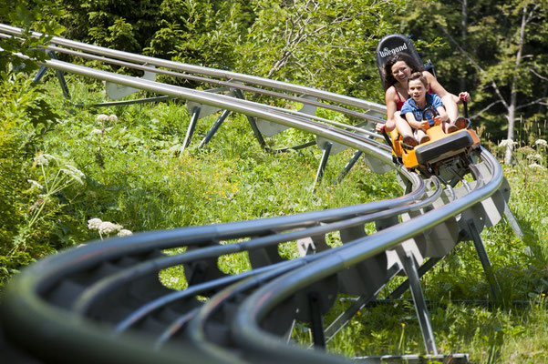 Luge d'été