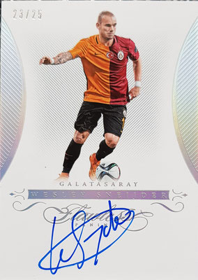 Wesley Sneijder - 23/25