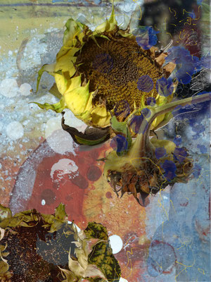 Sonnenblumen