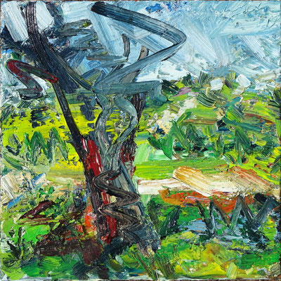 Dünenbaum, Öl/Lw 60 x 60 cm, 2019