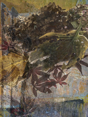 Pompeian wall (Hortensie)
