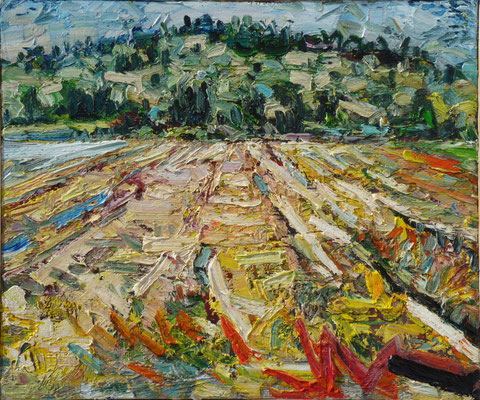 Sonnenfeld, Öl/Lw 50 x 60 cm