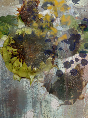 Sonnenblumen