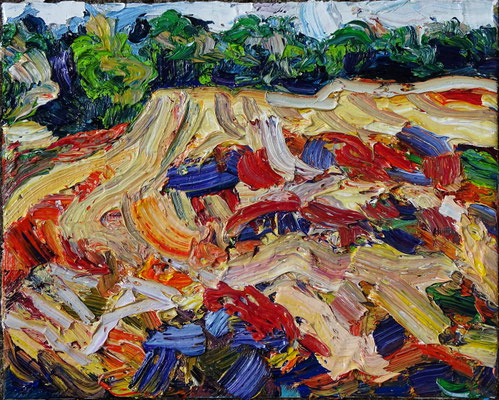 Feld bei Bliesen, Öl/Lw 40 x 50 cm, 2019