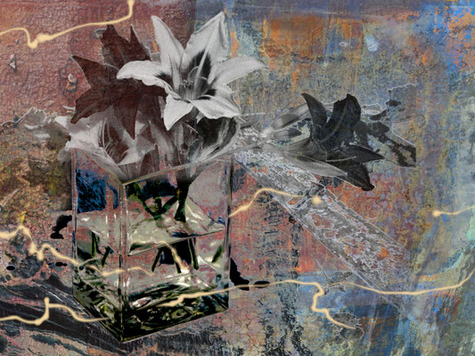 Lilien