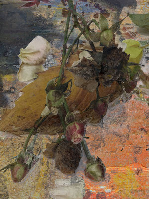 Pompeian wall (Rose)
